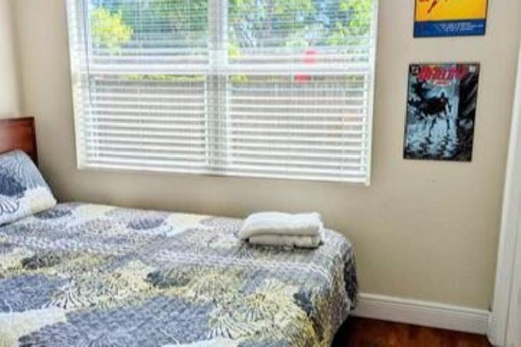 Spacious House With Big Backyard In N. Hyde Park / Close To Downtown Tampa Extérieur photo